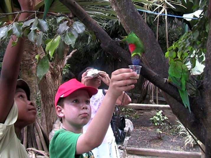 21a - Jardin Tropical 013.jpg